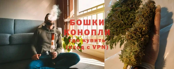 молекула духа Богородицк