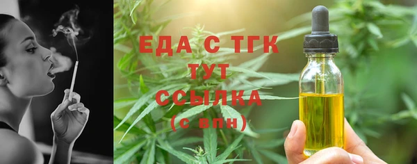 молекула духа Богородицк