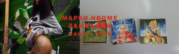 молекула духа Богородицк