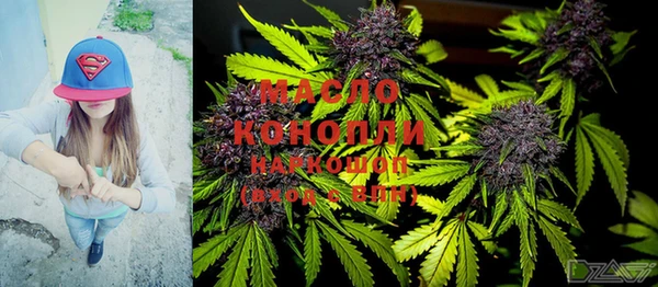 молекула духа Богородицк