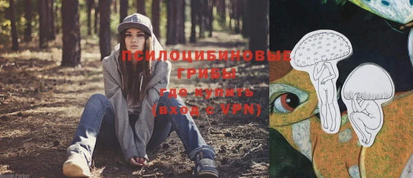 ГАЛЛЮЦИНОГЕННЫЕ ГРИБЫ Богородск