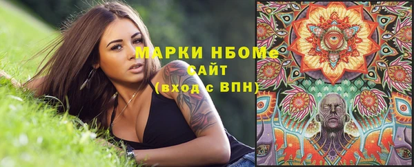 молекула духа Богородицк