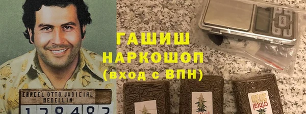 молекула духа Богородицк
