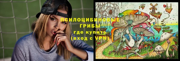 молекула духа Богородицк