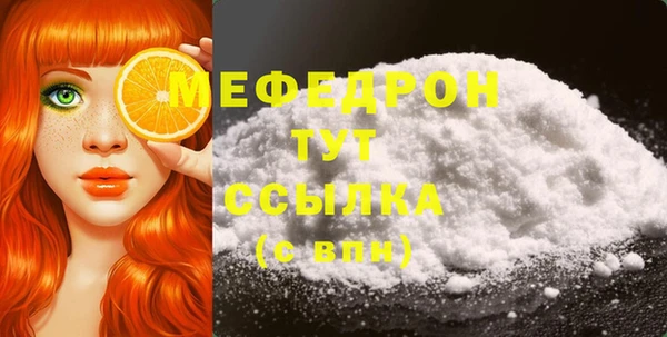 молекула духа Богородицк