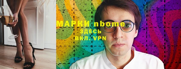 молекула духа Богородицк