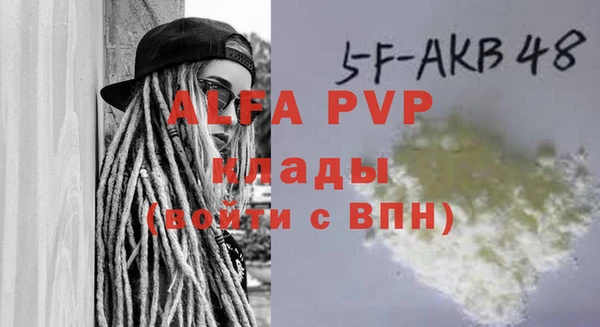 молекула духа Богородицк