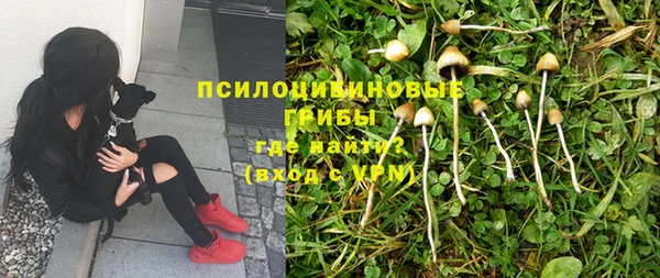 ГАЛЛЮЦИНОГЕННЫЕ ГРИБЫ Богородск