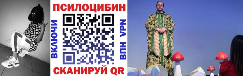 Купить где  Кириши  Галлюциногенные грибы прущие грибы 