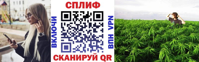 Бошки марихуана OG Kush  Купить закладки  Кириши 